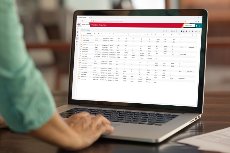 Visual MESA Production Accounting Command Processor screenshot
