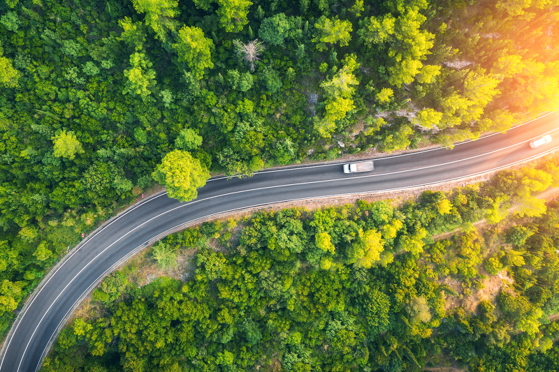 Aerial view of road in beautiful green forest at sunset in spring