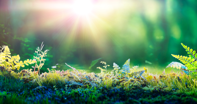 Energy Cost and Emission Reduction Management and Compliance reference image