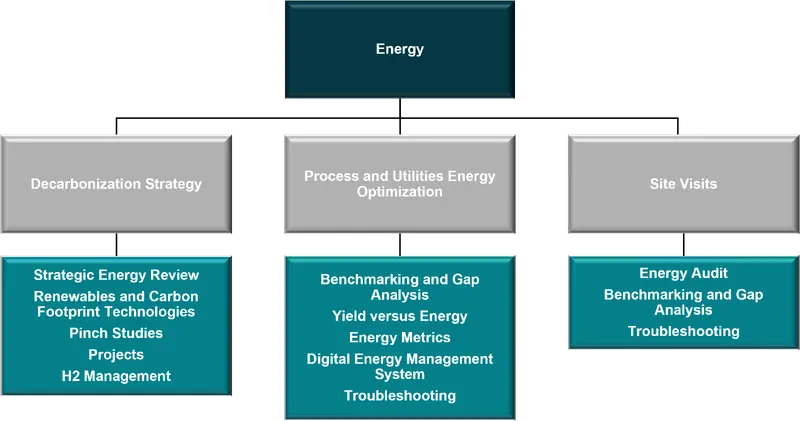 TSA Delivery Organization Energy