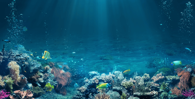 Scope 1 and 2 Emissions Reduction reference image